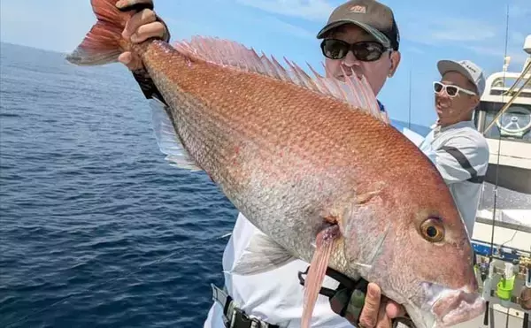 最盛期は越えても大型マダイ浮上！タイラバやジギングにヒット【船釣り釣果速報9選・北陸】