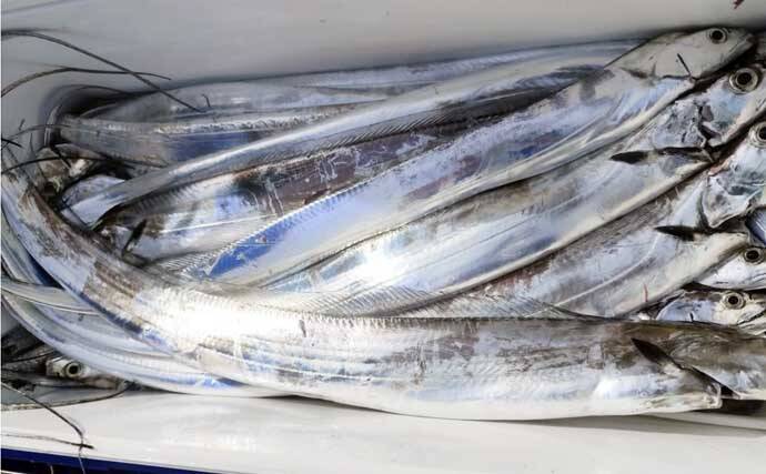 最盛期は越えても大型マダイ浮上！タイラバやジギングにヒット【船釣り釣果速報9選・北陸】