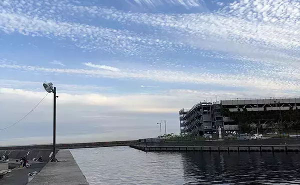 釣れる釣り場には特有の匂いと気配がある？　釣り人の経験に基づく感覚を言語化