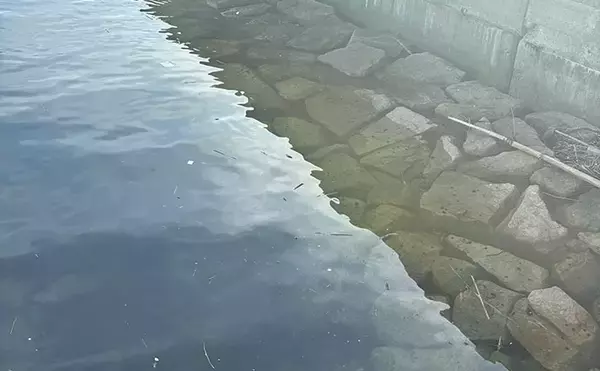「釣れる釣り場には特有の匂いと気配がある？　釣り人の経験に基づく感覚を言語化」の画像