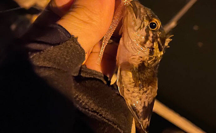 釣れる釣り場には特有の匂いと気配がある？　釣り人の経験に基づく感覚を言語化