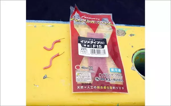 「船シロギス釣りで平均20cm級の良型本命が連発！【東京湾】ハイブリッドクロスに好反応」の画像