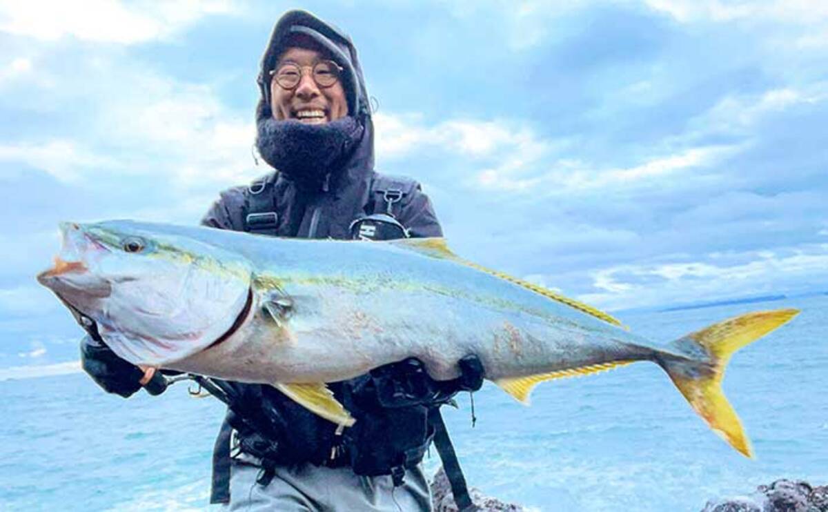 31foauglqifd1m 31foauglqifd1m