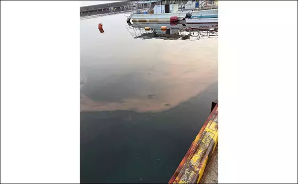 「電車釣行おすすめ釣り場：須磨（大阪湾）　春夏秋冬の釣り物とポイント紹介」の画像