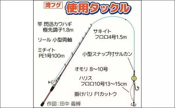 「東京湾フグ船でショウサイフグ２桁釣果【吉野屋】速い潮流への対策とは？」の画像