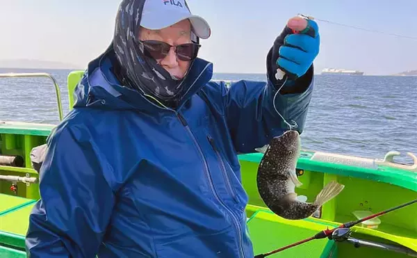 「東京湾フグ船でショウサイフグ２桁釣果【吉野屋】速い潮流への対策とは？」の画像