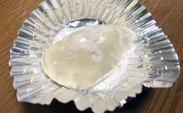 「東京湾フグ船でショウサイフグ２桁釣果【吉野屋】速い潮流への対策とは？」の画像