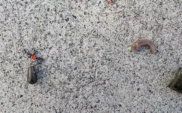 「へら竿を流用したお手軽ハゼ釣行で本命22匹【宮城】手返しで数伸ばす」の画像