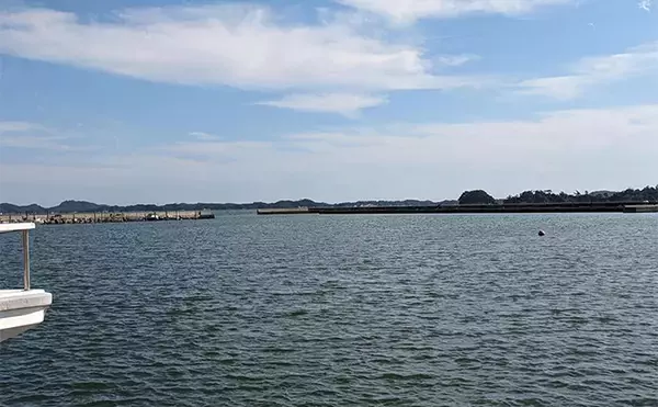 「へら竿を流用したお手軽ハゼ釣行で本命22匹【宮城】手返しで数伸ばす」の画像