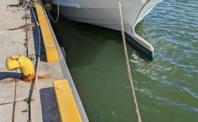 へら竿を流用したお手軽ハゼ釣行で本命22匹【宮城】手返しで数伸ばす