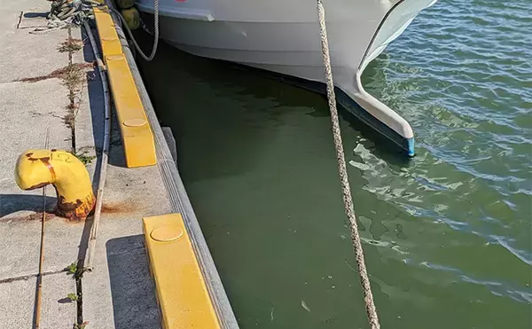 「へら竿を流用したお手軽ハゼ釣行で本命22匹【宮城】手返しで数伸ばす」の画像