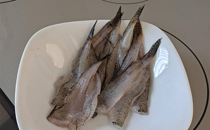 へら竿を流用したお手軽ハゼ釣行で本命22匹【宮城】手返しで数伸ばす