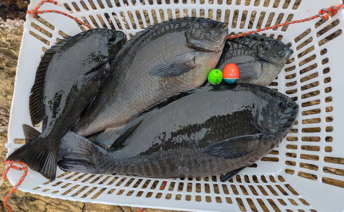 全国の海に対応可能！フカセ釣り用の高性能ウキ「エキスパートシリーズ」ってどんなウキ？