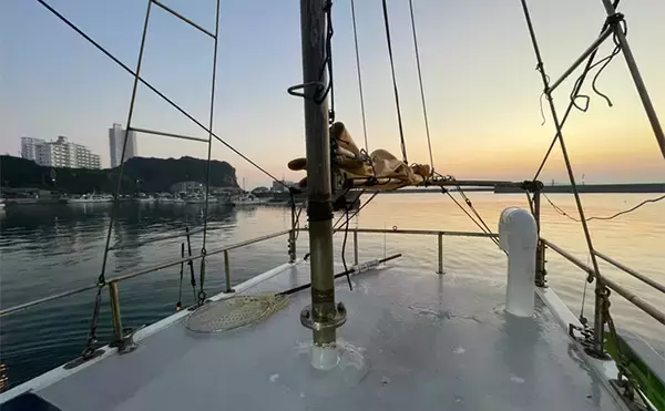 「初めてのカットウ釣りでフグ22匹をキャッチ【愛知・おざき丸】1発でハマる面白さ！」の画像