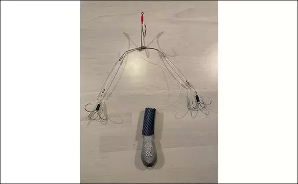 「初めてのカットウ釣りでフグ22匹をキャッチ【愛知・おざき丸】1発でハマる面白さ！」の画像