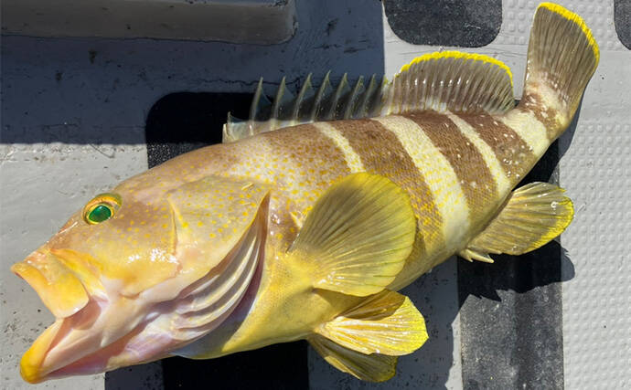 「釣りの聖地」五島列島遠征ルアー釣行で11kgヒラマサ登場　キャスティングにヒット