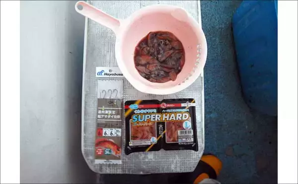 「船釣り教室参加で幻の高級魚『シロアマダイ』連発！【静岡】40cm級含む8匹手中」の画像