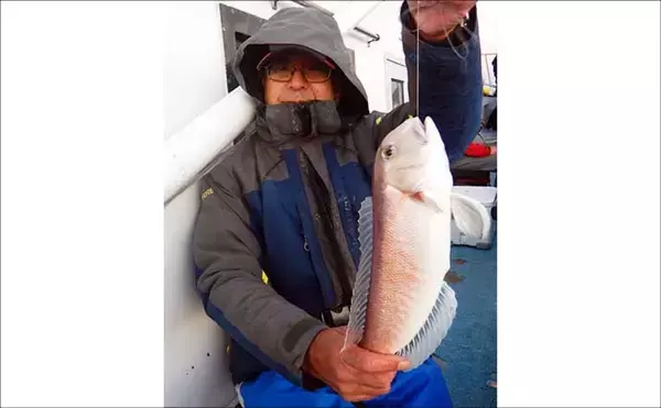 「船釣り教室参加で幻の高級魚『シロアマダイ』連発！【静岡】40cm級含む8匹手中」の画像