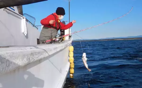 「船釣り教室参加で幻の高級魚『シロアマダイ』連発！【静岡】40cm級含む8匹手中」の画像