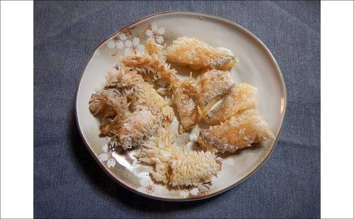 船釣り教室参加で幻の高級魚『シロアマダイ』連発！【静岡】40cm級含む8匹手中