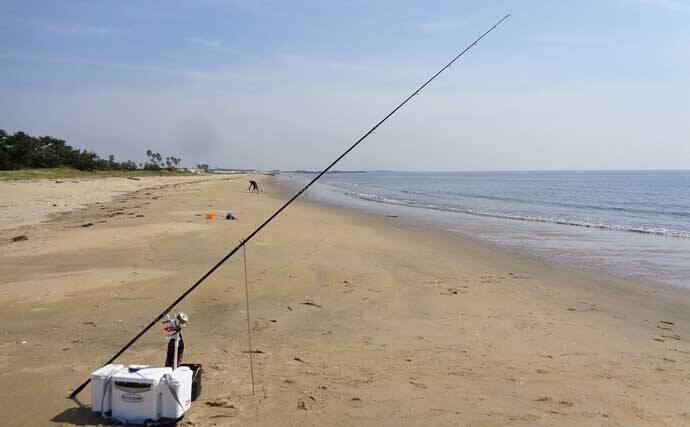初夏の投げ釣り釣果レポート：砂浜を積極的に移動して19.5cm頭にキス37匹！【三重】