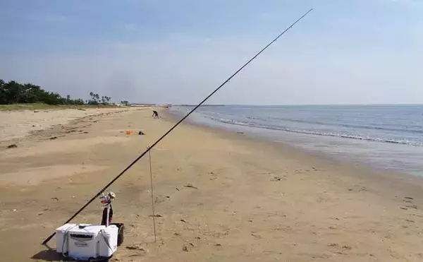 「初夏の投げ釣り釣果レポート：砂浜を積極的に移動して19.5cm頭にキス37匹！【三重】」の画像