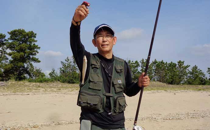 初夏の投げ釣り釣果レポート：砂浜を積極的に移動して19.5cm頭にキス37匹！【三重】