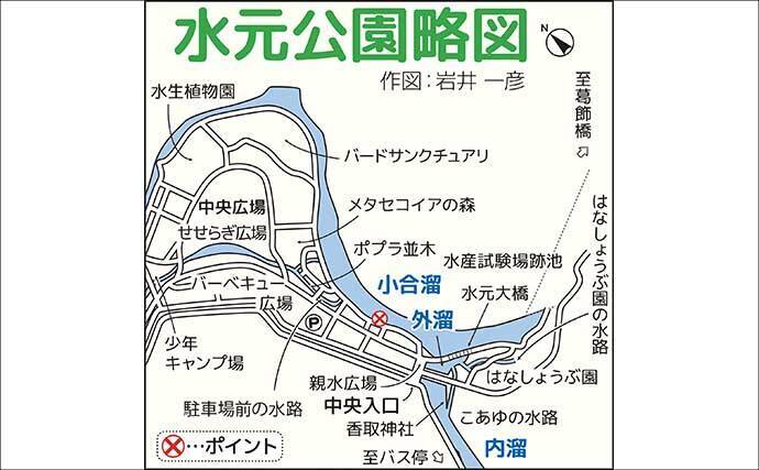 東京でテナガエビ釣り満喫【水元公園】5～6cmのメスを中心に7尾キャッチ