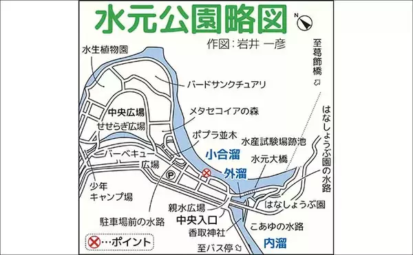 「東京でテナガエビ釣り満喫【水元公園】5～6cmのメスを中心に7尾キャッチ」の画像