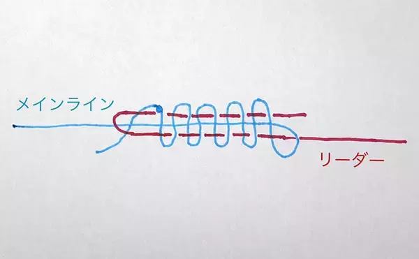 「オルブライトノットにおける「リーダーすっぽ抜け事故」を防ぐひと工夫を紹介」の画像
