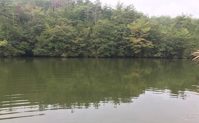 バスフィッシングで【レクチャーガイドを利用するメリット】 自分の釣りを見直せる