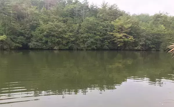 「バスフィッシングで【レクチャーガイドを利用するメリット】 自分の釣りを見直せる」の画像