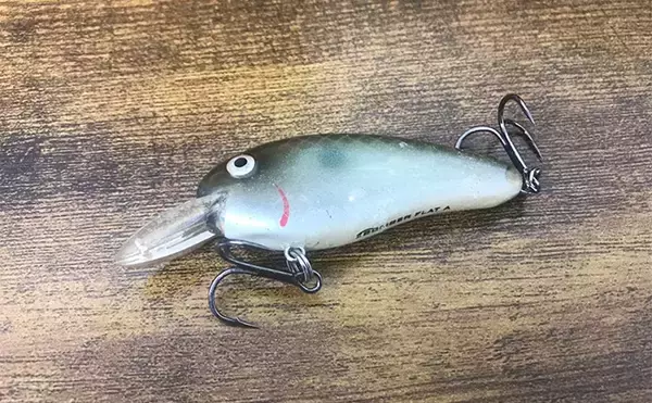 「バスフィッシングで【レクチャーガイドを利用するメリット】 自分の釣りを見直せる」の画像