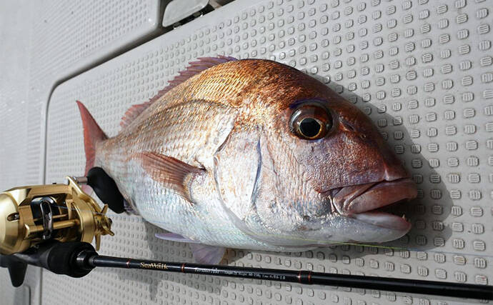 【タイラバ入門者が選ぶべきロッドとは？】ヤマガブランクスに直撃インタビュー