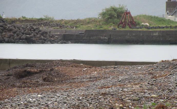 キスの大きさを競う『キスダービー』に参戦【和歌山】26cm良型を釣って3位入賞