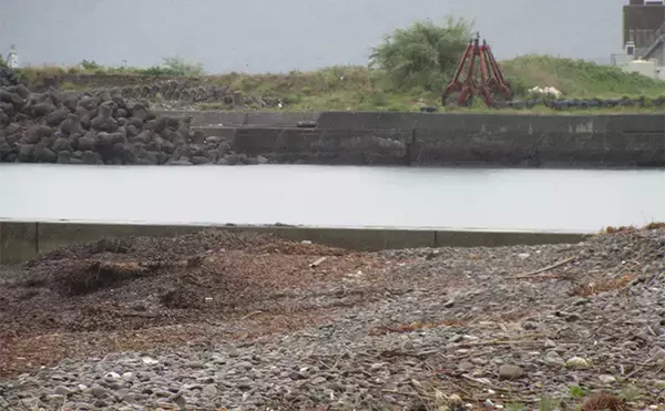 「キスの大きさを競う『キスダービー』に参戦【和歌山】26cm良型を釣って3位入賞」の画像