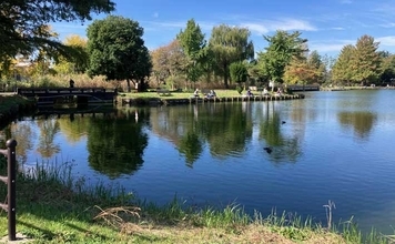 今週のヘラブナ推薦釣り場2025【埼玉・水城公園しのぶ池】