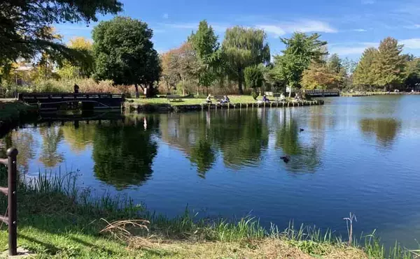 今週のヘラブナ推薦釣り場2025【埼玉・水城公園しのぶ池】