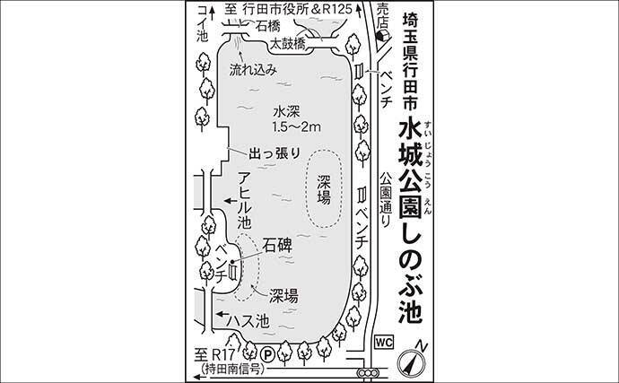 今週のヘラブナ推薦釣り場2025【埼玉・水城公園しのぶ池】