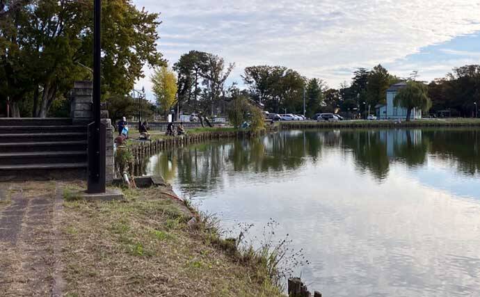 今週のヘラブナ推薦釣り場2025【埼玉・水城公園しのぶ池】