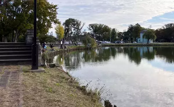 「今週のヘラブナ推薦釣り場2025【埼玉・水城公園しのぶ池】」の画像