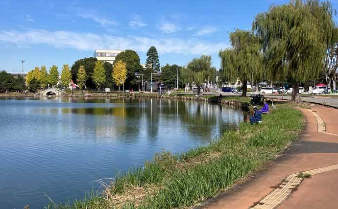 今週のヘラブナ推薦釣り場2025【埼玉・水城公園しのぶ池】