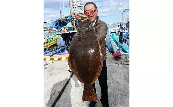 「日立沖のヒラメ釣りで船中ほぼ全員が2尾以上をキャッチ【茨城】別船で5kg超えも登場」の画像