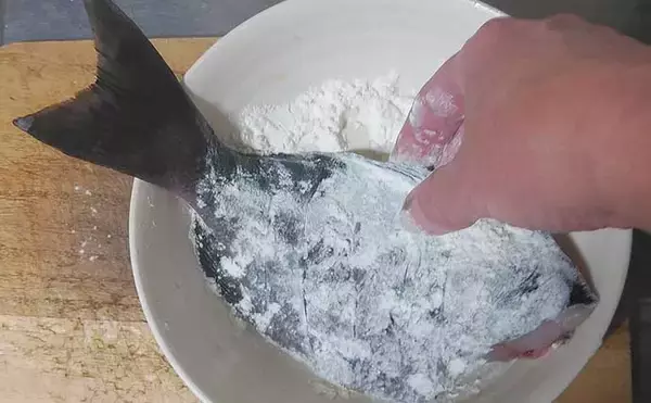 「釣魚で作る「本格フレンチ風」レシピ：オナガのムニエル　マヨネーズがポイント」の画像