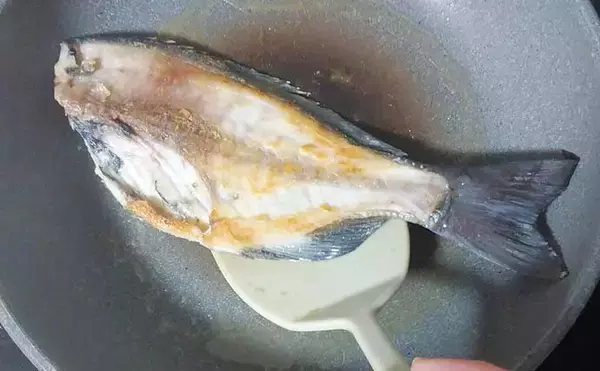 「釣魚で作る「本格フレンチ風」レシピ：オナガのムニエル　マヨネーズがポイント」の画像