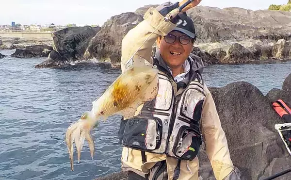 城ヶ島の地磯で1.1kgアオリイカをキャッチ【神奈川】冷凍アジエサのタラシ釣りにヒット！