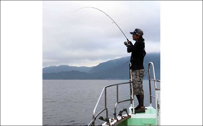 22年 スイミングハタゲーム入門 シーズン タックル 釣り方 22年7月15日 エキサイトニュース