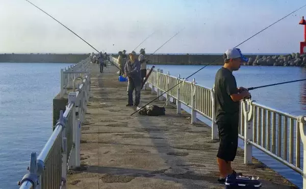 「サビキ釣りでアジ・サバ・カマスの数釣り堪能【三重・白子漁港釣り桟橋】」の画像