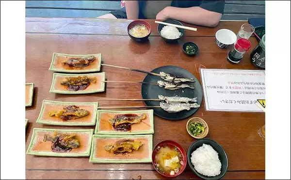 「『木郷滝釣りセンター』でのエサ釣りでヤマメ36尾【熊本】ブドウ虫が当たり？」の画像