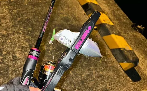 「豆アジングが意外と面白い！　「釣れそうで釣れない」からの「釣った感」を楽しもう」の画像